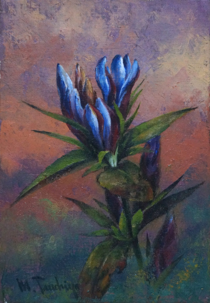 「りんどう」SM