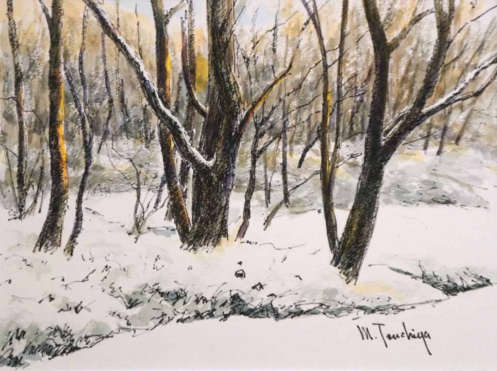 「目覚めの朝は雪 」F4号相当