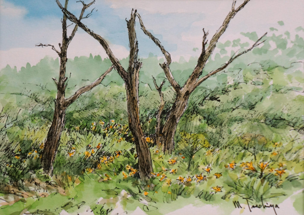 「立ち枯れて 」F4号相当