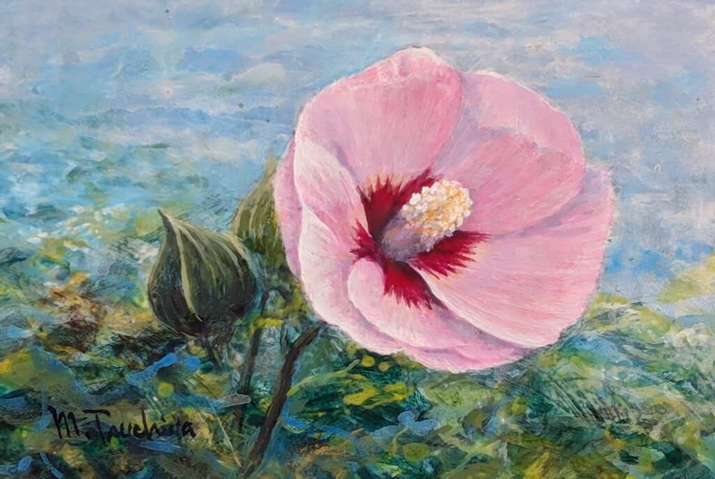 「芙蓉の花」SM