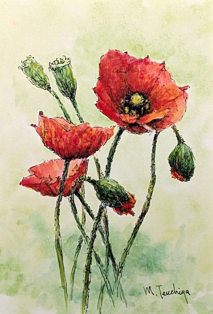 「ポピー」SM程