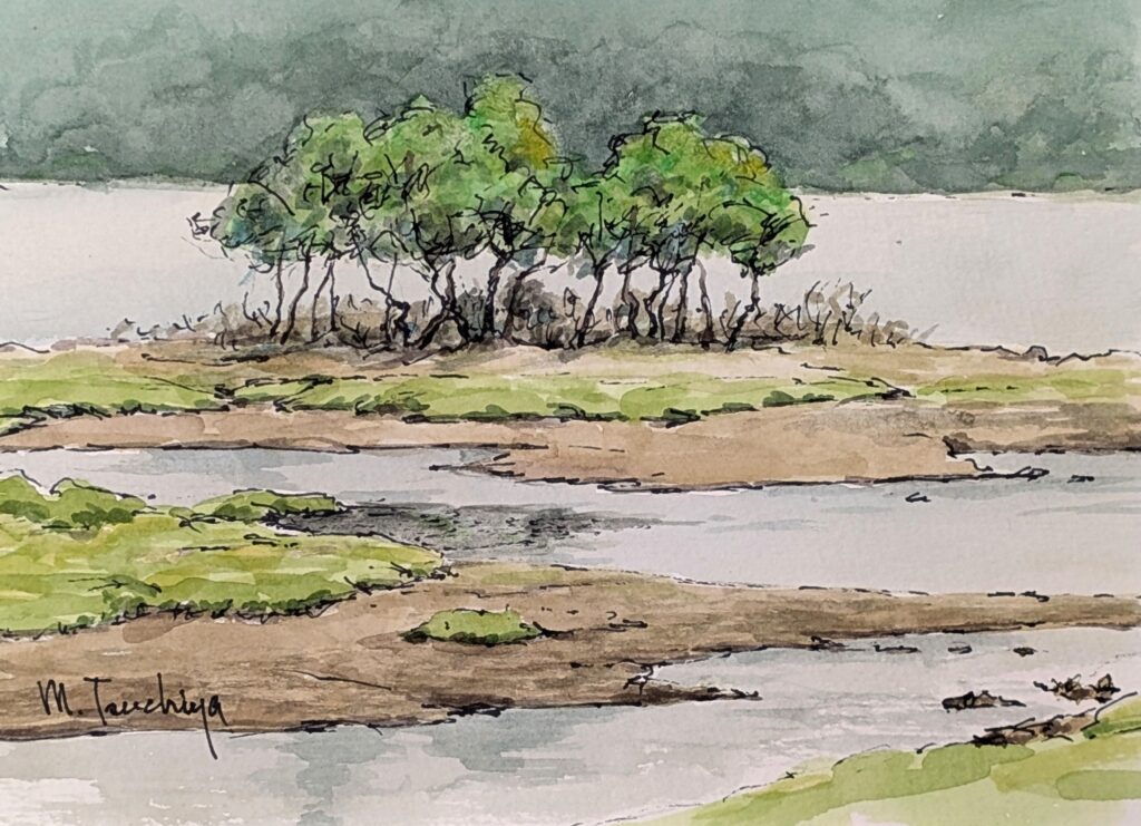 「湖上の林」」SM程