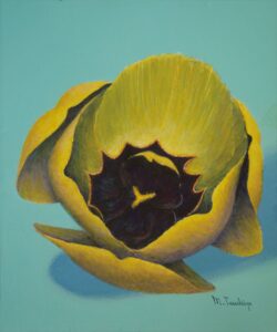 「チューリップの心」　F8