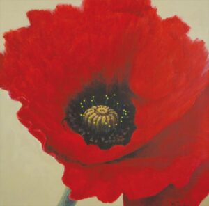 「赤い襞」　S12