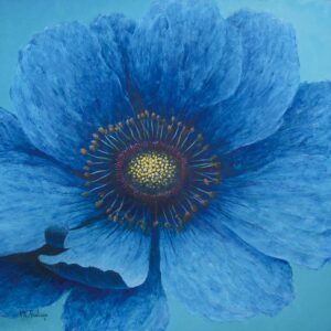 「空と水が染みて」　S12